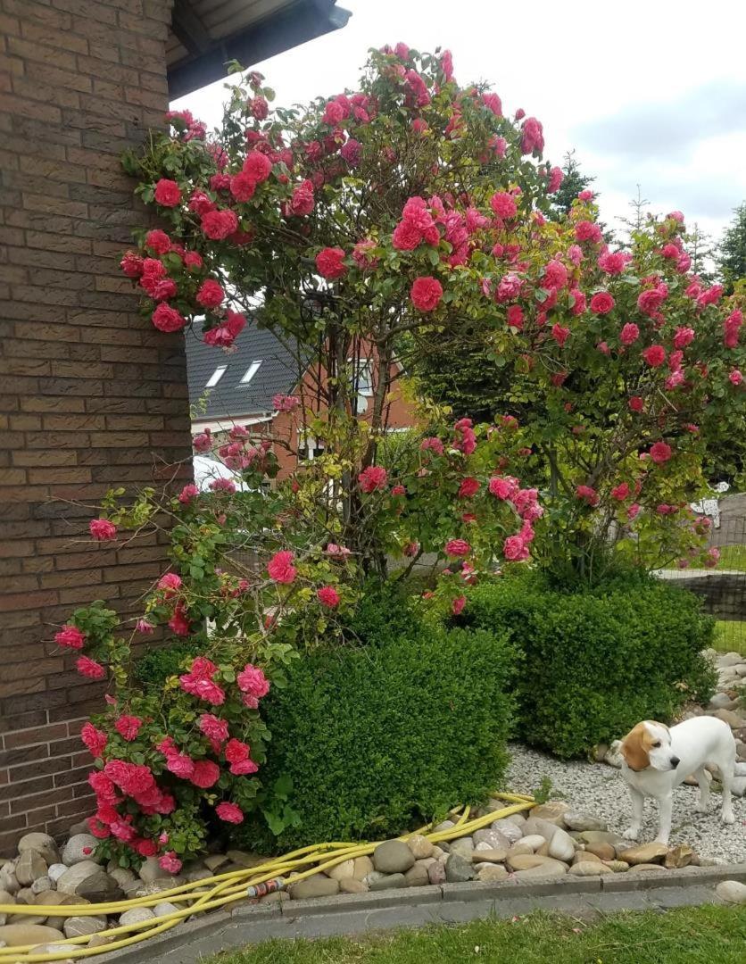 Ferienwohnung Aurich Ostfriesland Exterior foto